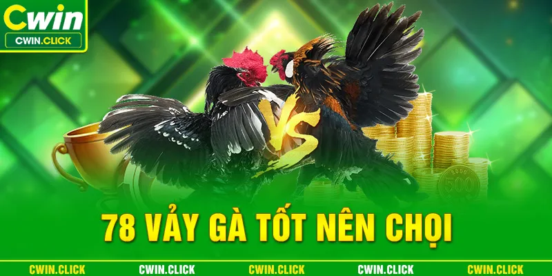 78 vảy gà tốt nên chọi